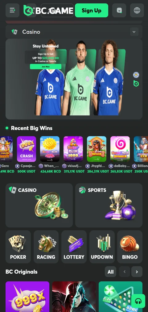 BC Game Casino mobile browser experience optimised for iOS and Android devices with responsive game access