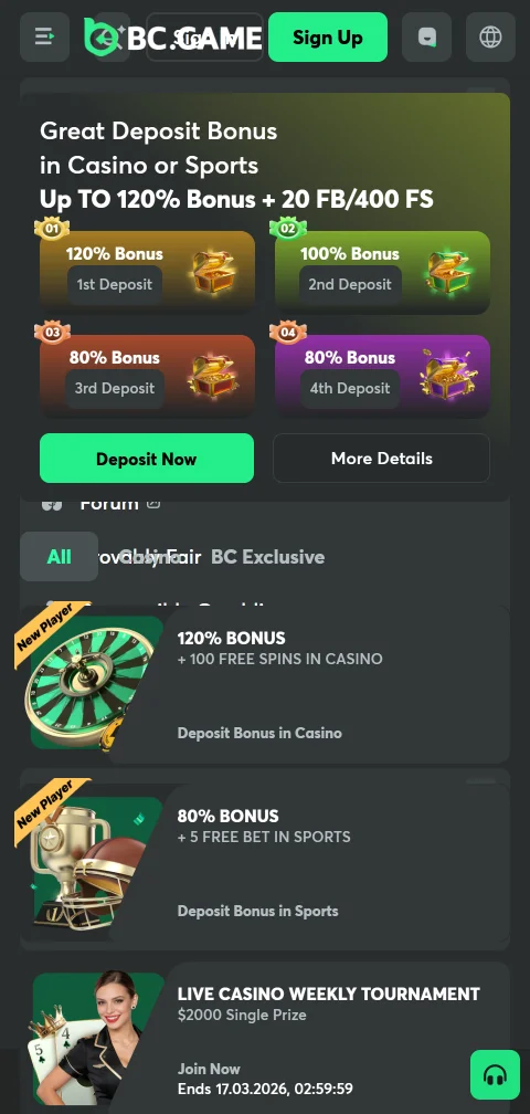 Cryptocurrency and payment method options for deposits and withdrawals at BC Game Casino