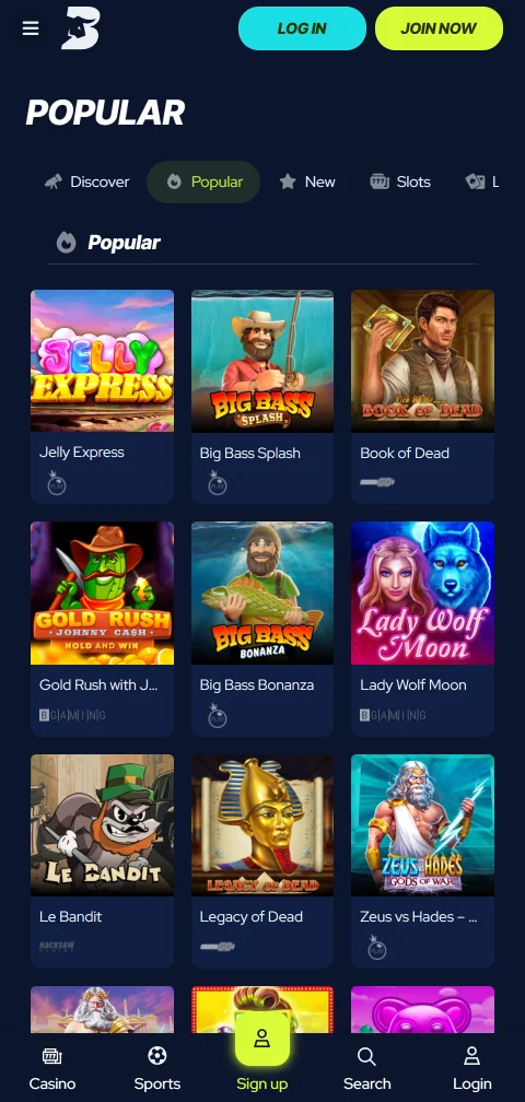 Deposit and withdrawal payment methods accepted at BetBeast Casino including cards and e-wallets