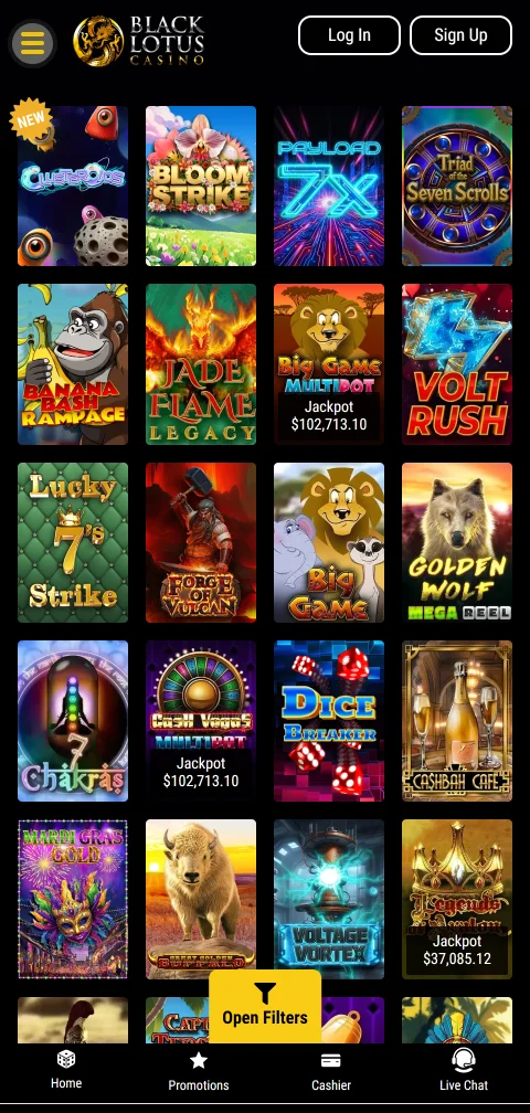 Black Lotus Casino deposit and withdrawal methods including e-wallets and cryptocurrency
