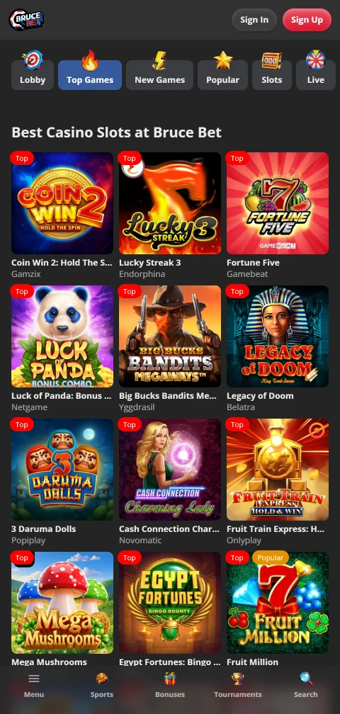 Secure payment methods and withdrawal options available through BruceBet Casino mobile platform