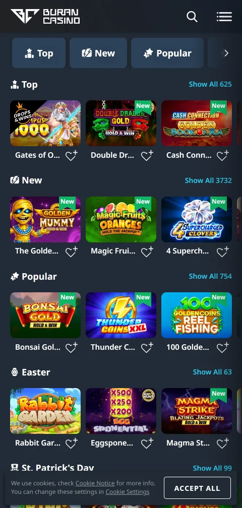 Deposit and withdrawal payment methods accepted at Buran Casino