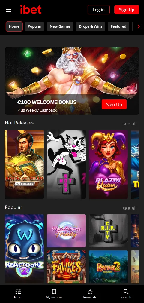 Deposit and withdrawal payment methods available at ibet Casino including e-wallets and cryptocurrency options