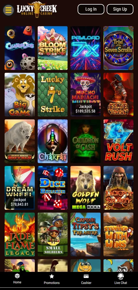 Deposit and withdrawal payment methods accepted by Lucky Creek Casino Australia for Australia