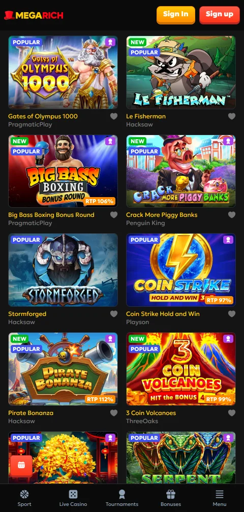 Megarich Casino payment methods and withdrawal options including e-wallets, cards, and cryptocurrency processing