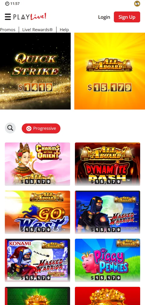 PlayLive Casino mobile gaming experience with responsive design supporting iOS and Android devices
