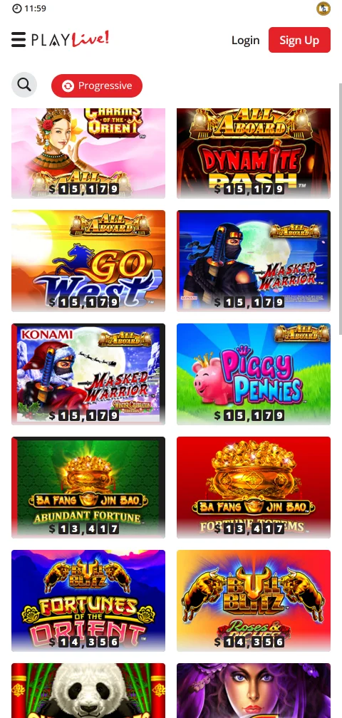 PlayLive Casino deposit and withdrawal options including PayID, e-wallets and cryptocurrency payment methods