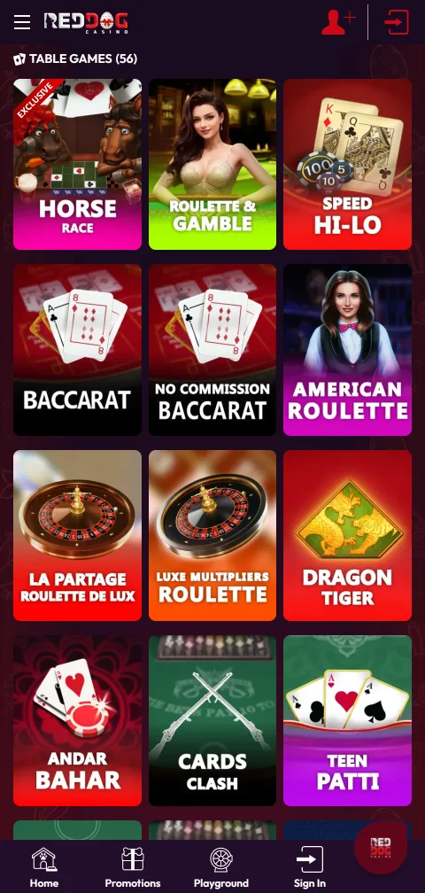 Security features and player protection tools including responsible gaming controls at Red Dog Casino