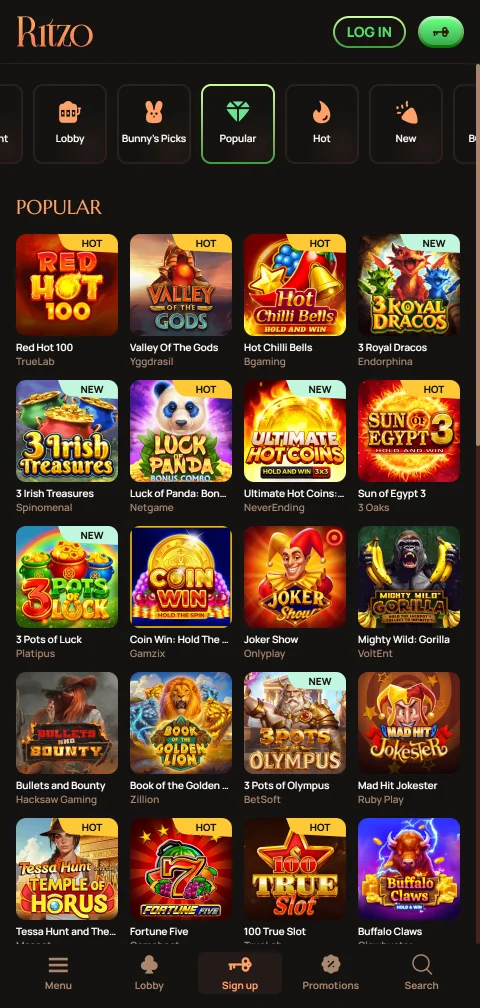 Security features and responsible gaming tools available at Ritzo Casino for player protection