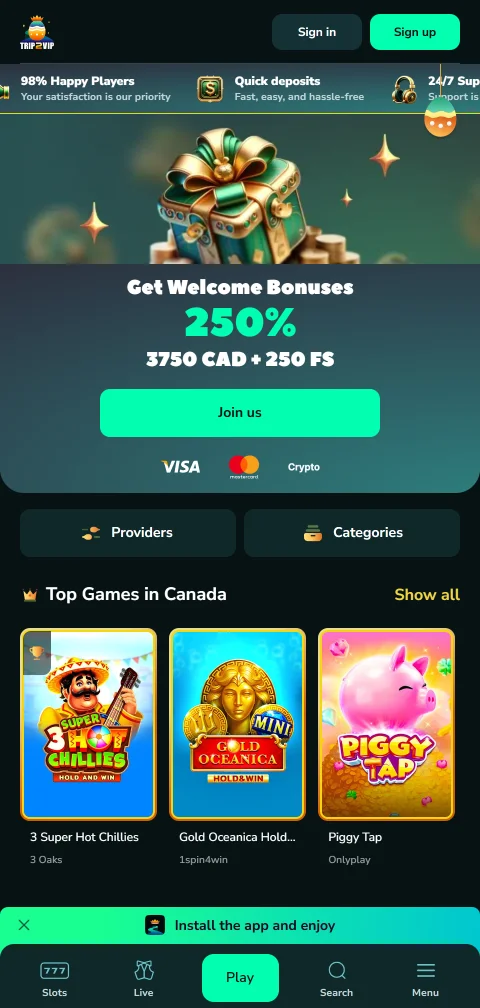 Trip2Vip Casino mobile gaming access through responsive browser design compatible with iOS and Android devices