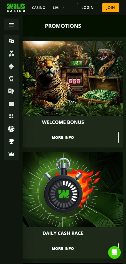 Wild Casino deposit and withdrawal options including Visa, Mastercard, e-wallets, and cryptocurrency