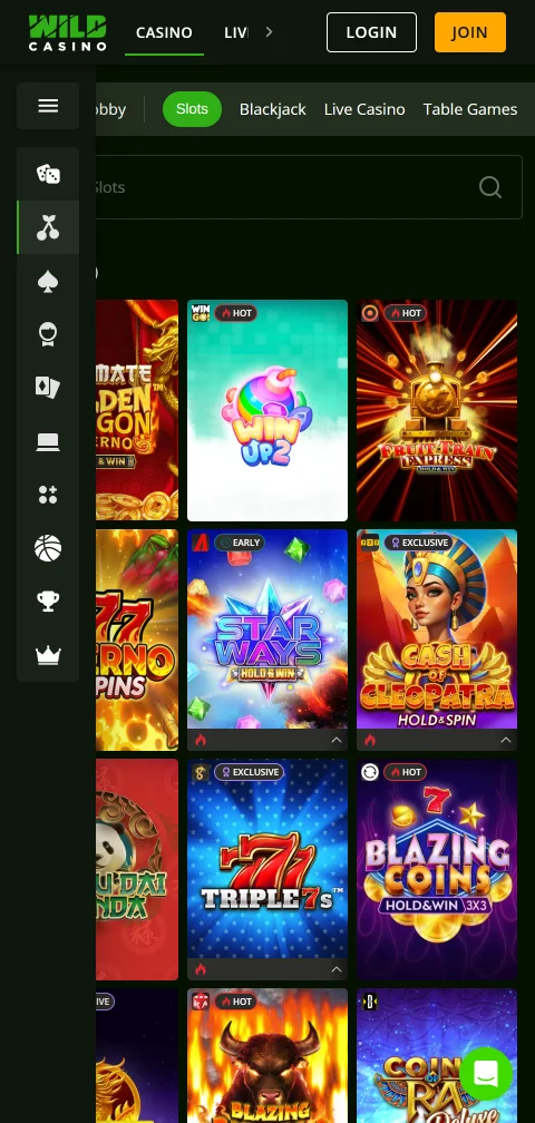 Wild Casino security features including SSL encryption, international licensing, and responsible gambling tools